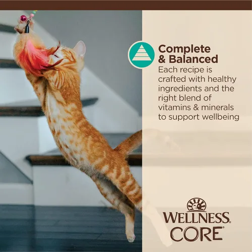 Miniatura 5 de Wellness CORE Tiny Tasters - Alimento húmedo para gatos adultos, natural, rico en proteínas, sin granos, receta de atún y salmón, 1.75 onzas