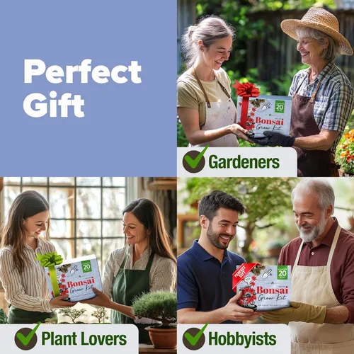 Miniatura 5 de HOME GROWN Kit de Árbol Bonsái – Juego Inicial Premium de Cerámica con 4 Variedades de Bonsái – Fácil Regalo de Jardinería Interior para Hombres