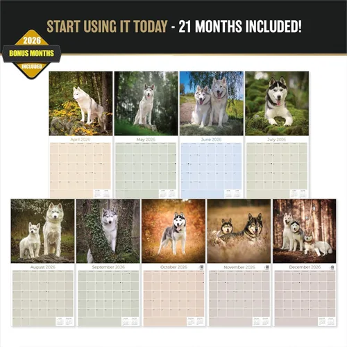 Miniatura 2 de Razas de Perros 2017 SIBERIAN HUSKY