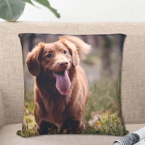 Miniatura 5 de Funda de almohada personalizada, diseño de fotos o texto, fundas de cojín impresas de dos lados, almohada personalizada para fotos de mascotas
