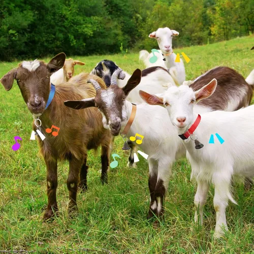 Miniatura 7 de 12 juegos de collares de cabra con campanas, caballo, oveja, pastoreo, campanas de vaca, collar ajustable de nailon para perro con hebilla