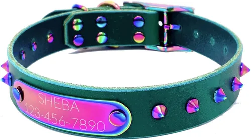 Miniatura 18 de Collar de perro de cuero con brida hecha a mano, grabado arco iris de acero inoxidable (negro)