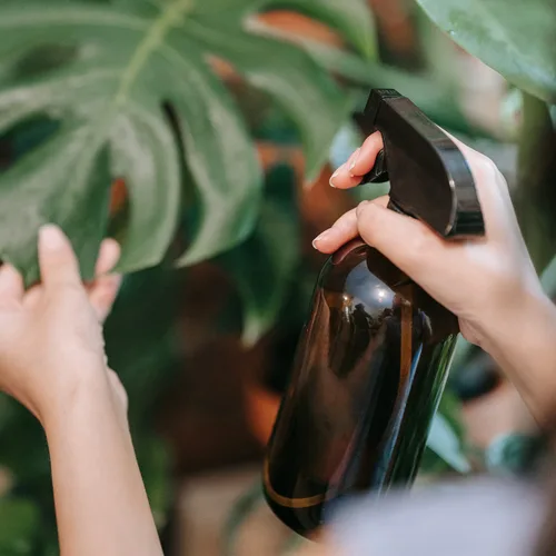 Miniatura 7 de Botellas de spray de vidrio ámbar Wedama, botellas de spray de vidrio de 16 oz para soluciones de limpieza y aceites esenciales, botella de spray