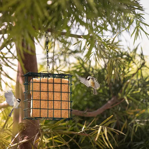 Miniatura 6 de MEKKAPRO Suet - Comedero para pájaros salvajes con cadena de metal colgante, doble delight con cadena de metal, doble capacidad, resistente a
