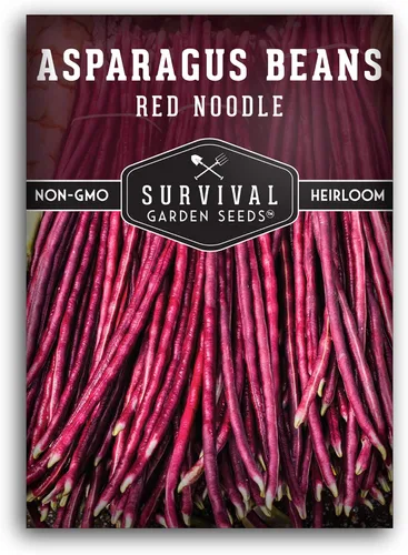 Yardlong - Semillas de frijoles para plantar, semillas de frijoles espárragos de fideos rojos, vainas rojas extralargas en vides trepadoras amantes