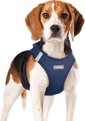Miniatura 57 de rabbitgoo Arnés para perro pequeño, chaleco de malla suave para cachorros con hebilla de seguridad, arnés reflectante transpirable para mascotas