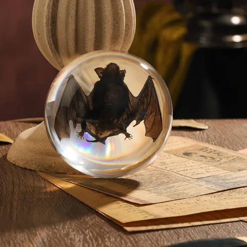 Miniatura 19 de Espécimen de esqueleto de murciélago real en resina para educación científica en el aula, gran regalo para fanáticos de la taxidermia, cráneo