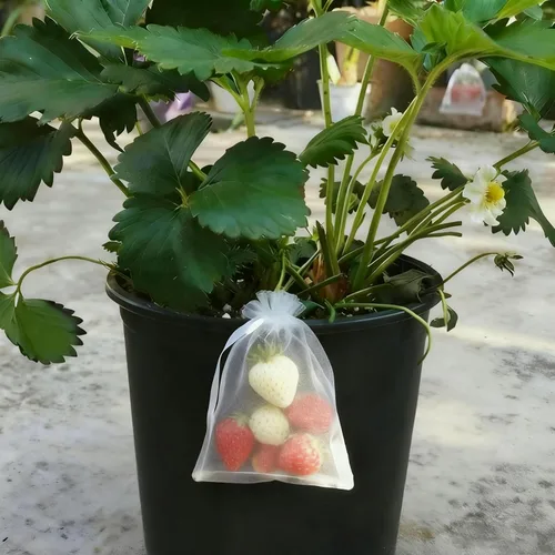 Miniatura 8 de YunKo - 50 bolsas de organza con cordón de 6 x 9 pulgadas, bolsas de malla para joyas, regalos, bolsas de protección para frutas, bolsa de regalo