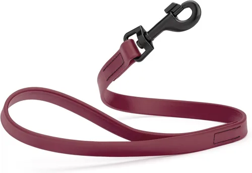 Miniatura 44 de Dogline Biothane - Correa impermeable para perro, correa de nailon tejido con revestimiento fuerte, con herrajes negros, a prueba de olores, fácil