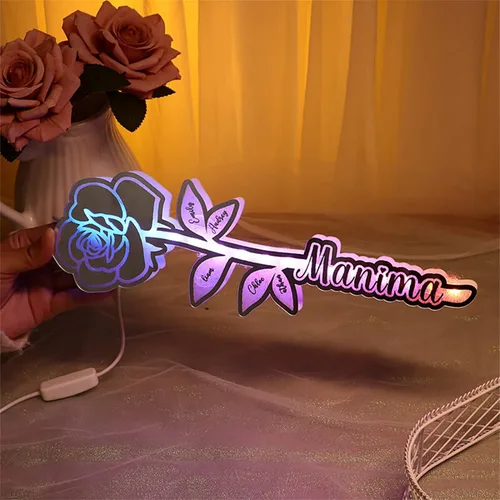 Letrero de espejo de rosa personalizado con luces LED, letrero de espejo con nombre de familia personalizado con espejo de 1 a 8 nombres, decoración