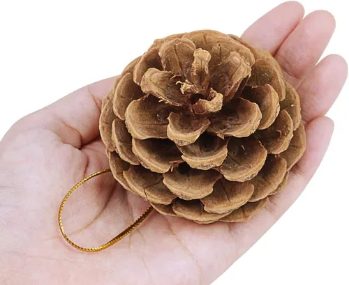 Miniatura 2 de Supla 30 adornos de piñas de pino preservados reales para colgar de Navidad, de 2 a 3 pulgadas de alto, adornos de piña para colgar en el árbol