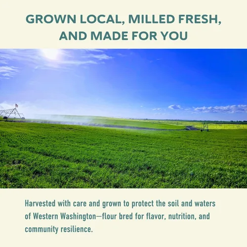 Miniatura 9 de Fairhaven Mill Harina de trigo sarraceno orgánico, grano entero, naturalmente sin gluten y certificado orgánico por USDA, perfecta para panqueques