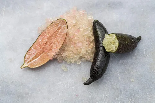 Miniatura 2 de Limas de caviar (.5 lb)