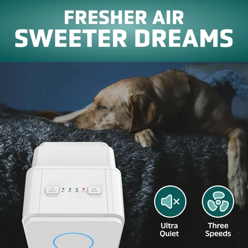 Miniatura 3 de GermGuardian Purificador de aire para hogares con mascotas, filtro HEPA H13 para mascotas, elimina la caspa de mascotas, polvo, alérgenos, humo