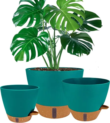 Miniatura 16 de Paquete de 2 macetas de 8 pulgadas para plantas de interior, macetas de plástico con orificios de drenaje, indicador de nivel de agua y depósito