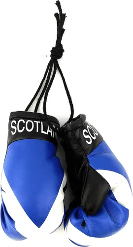 Miniatura 6 de Mini guantes de boxeo para colgar en el espejo del coche (Camerún)