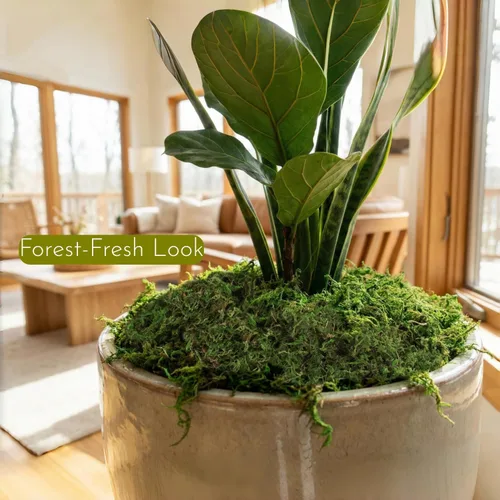 Miniatura 2 de BYHER Musgo falso de 4 onzas, musgo para manualidades y plantas de interior, césped verde artificial realista para jardín de hadas, proyectos