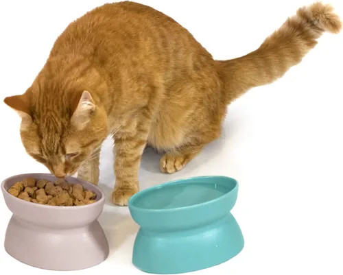 Miniatura 5 de Kitty City Cuencos elevados para gatos (juego de 2), platos elevados para alimentos y agua para gatos, diseño moderno de pedestal, aptos para Pastel