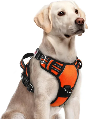 Miniatura 16 de rabbitgoo Arnés para perro de tamaño pequeño, chaleco para perro sin tirones con 3 hebillas, arnés ajustable y acolchado suave para mascotas con asa