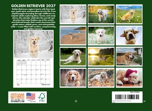 Miniatura 2 de Calendario mensual de pared Golden Retriever 2027, 12 meses