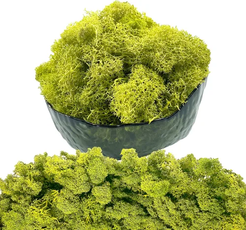 Miniatura 14 de Musgo artificial preservado de musgo para plantas en maceta, musgo verde fresco natural para manualidades, decoración de pared floral, centros
