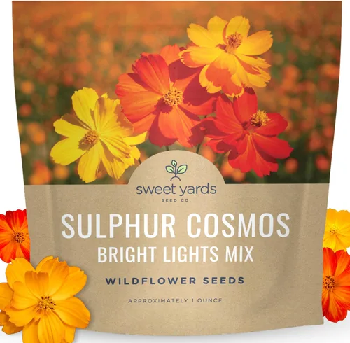 Miniatura 24 de Cosmos Seeds Mezcla de flores silvestres, paquete a granel de 1 onza, más de 5,000 semillas, especies mixtas de rosa, amarillo, naranja, rojo