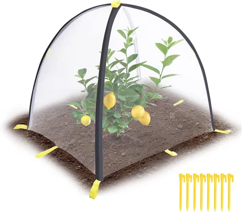 Miniatura 7 de PURPLE STAR 1N Cubierta de barrera de insectos de 35 x 35 x 39 pulgadas, cubierta de malla para proteger insectos y pájaros con estacas