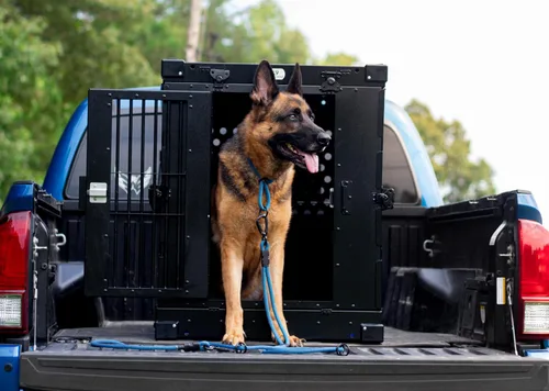 Miniatura 2 de K9 Kennel Boss - Jaula para perros resistente totalmente plegable con recubrimiento en polvo de aluminio - Grande (Negro)