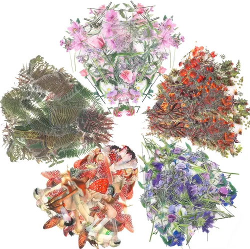 Miniatura 9 de 160 piezas de calcomanías de flores naturales para álbumes de recortes, calcomanías autoadhesivas para álbumes de recortes, suministros para diario