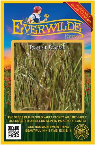 Everwilde Farms - 1000 semillas de hierba nativa Prairie Brome - Paquete de semillas jumbo Gold Vault