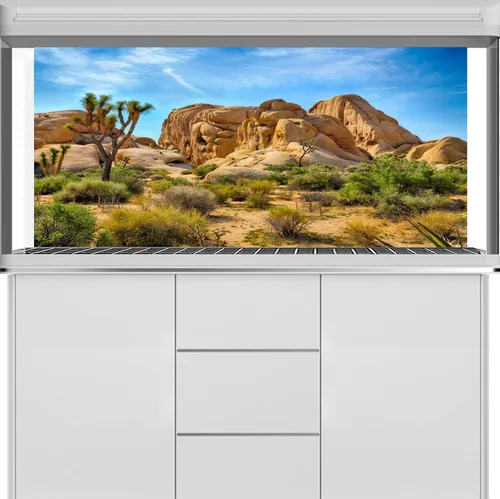 Miniatura 7 de Telón de fondo de poliéster 5x3ft Joshua Tree National Park Telón de fondo árido árido árido piedra arenisca roca clima montaña y desierto paisaje