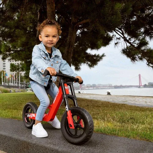 Miniatura 2 de BERG Biky - Bicicleta de equilibrio - Bicicleta ligera para niños pequeños - Mini bicicleta fácil de usar - Edades 2-5 años
