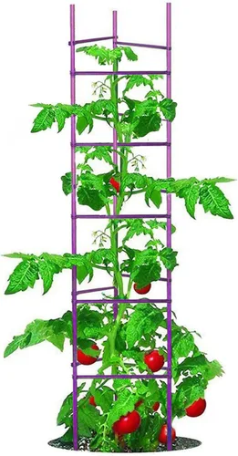 Miniatura 9 de Jaula de tomate de 5 pies de alto sin empalme, paquete de 6 estacas de tomate grandes, estacas para plantas de jardín, soportes de escalada, 40