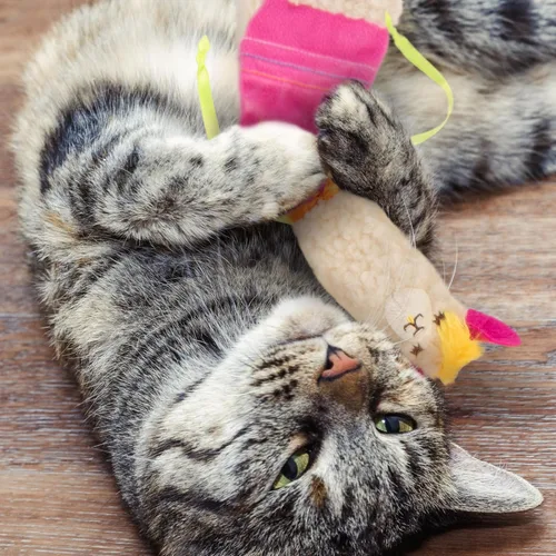 Miniatura 8 de SmartyKat Leggy Llama Catnip Juguete Pateador de Felpa Crujiente, Cuerpo Suave y Flexible para Luchar y Patadas de Conejo para Gatos y Gatitos