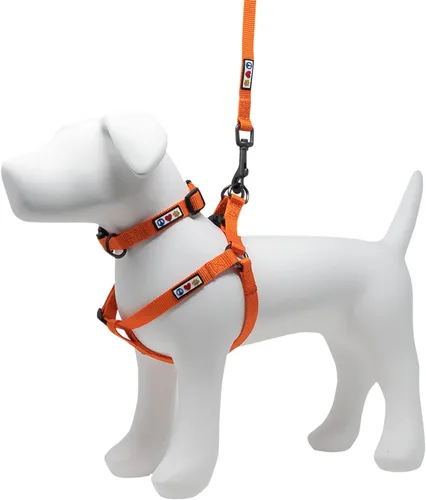 Pawtitas Paquete económico | Arnés para perro extra pequeño + collar para perro extra pequeño + correa extra pequeña de 6 pies para perro, juego