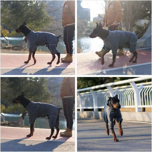 Miniatura 5 de Lovelonglong - Abrigo cálido para perro, chaqueta para perros pequeños, medianos y grandes con cierre de cremallera, abrigo de invierno de forro