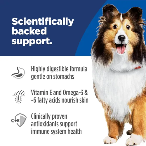 Miniatura 5 de Hill's Science Diet comida para perros adultos, estómago sensible y piel seca, Regular