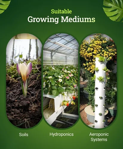 Miniatura 5 de Fox Farm Beastie Bloomz Fertilizante soluble – Fertilizante de alto fósforo para floración media a tardía, pH equilibrado – Apoya el desarrollo