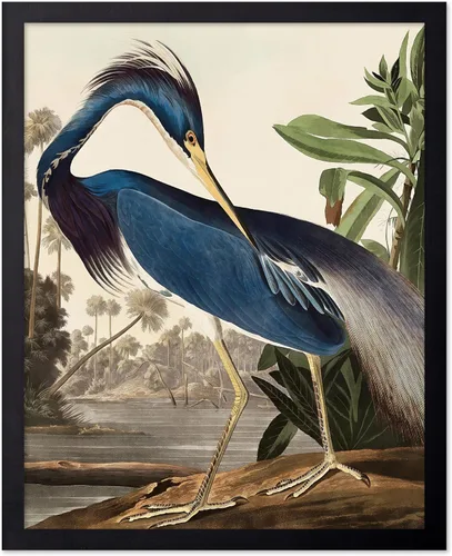 Miniatura 81 de Poster Master Vintage James Audubon Póster - Impresión Retro de Cuervo - Arte de Aves de América - Arte de Aves - Regalo para Hombres, Mujeres
