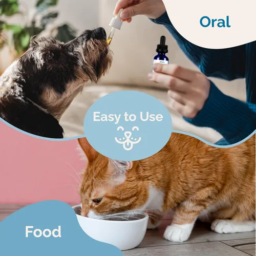 Miniatura 7 de PranaPets Suplemento de mezcla de inmunidad para perros y gatos Ayuda naturalmente a aliviar la fatiga y la debilidad en las mascotas Promueve