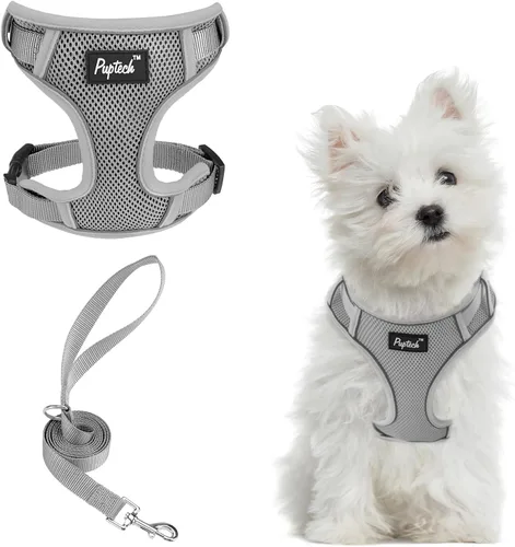 Miniatura 28 de PUPTECK Juego de arnés y correa para perro pequeño, arnés ajustable sin tirones para cachorro, chaleco de malla suave reflectante para mascotas