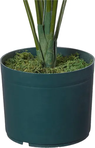 Miniatura 6 de Palmera Kentia Nearly Natural