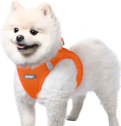 Miniatura 75 de rabbitgoo Arnés para perro pequeño, chaleco de malla suave para cachorros con hebilla de seguridad, arnés reflectante transpirable para mascotas