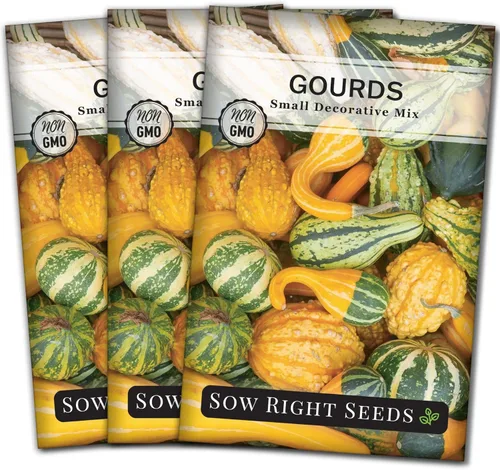 Miniatura 7 de Sow Right Seeds - Mezcla de semillas decorativas de pequeñas calabazas para plantar - Paquete de reliquia sin OMG con instrucciones para plantar