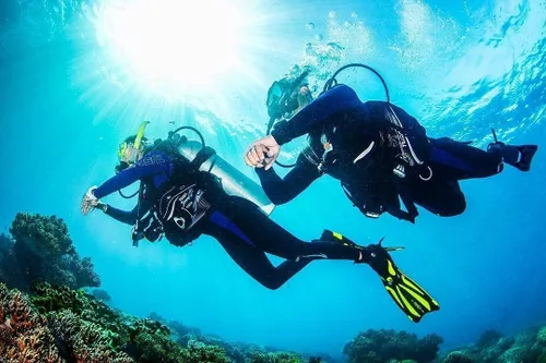Miniatura 2 de TUSA SF-22 Solla - Aletas de buceo con tacón abierto
