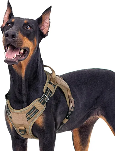 Miniatura 36 de rabbitgoo - Arnés para perros pequeño sin tirones, chaleco táctico de servicio con Molle y asa de control, arnés militar ajustable y reflectante