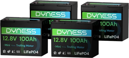 Miniatura 14 de Dyness Batería LiFePO4 de 24 V 100 Ah, batería de litio de 25.6 V con potencia de 2560 Wh, BMS integrado de 100 A con protección a baja temperatura
