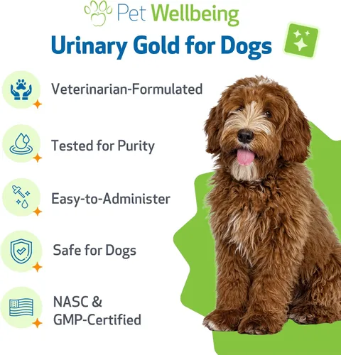 Miniatura 6 de Pet Wellbeing Oro urinario para perros – Formulado por veterinarios – Soporte para el tracto urinario con múltiples hierbas – Salud de la vejiga