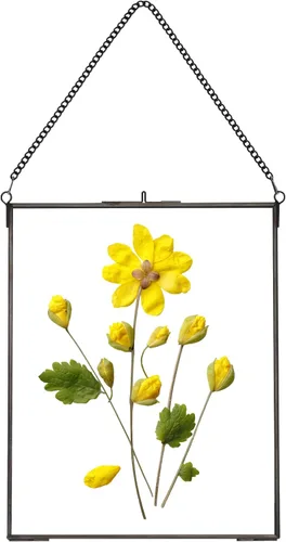 Miniatura 13 de REDHUGO Marcos de flores prensadas para colgar, marco flotante de doble vidrio hecho a mano, marco de vidrio para flores prensadas, marco de fotos