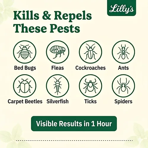 Miniatura 3 de Tierra de diatomeas de grado alimenticio con aceite de menta para insectos Polvo de control de plagas de interior para chinches, cucarachas